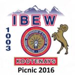 IBEW local union #1003 Annual Picnic was fun and there was lots of food.